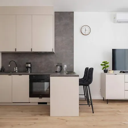 Cosy In The Centre Of With Parking By Renters * Катовіце