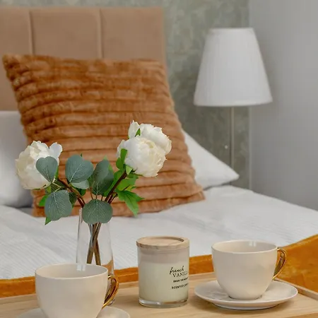 Cosy In The Centre Of With Parking By Renters Апартаменты Катовице